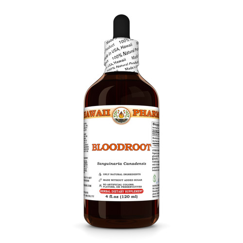 Bloodroot sanguinaria - bloodroot, (sanguinaria