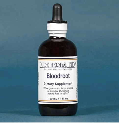 Pure herbs blood root - herbs, (red